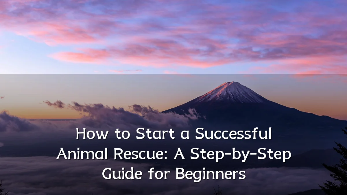How to Start a Successful Animal Rescue: A Step-by-Step Guide for Beginners