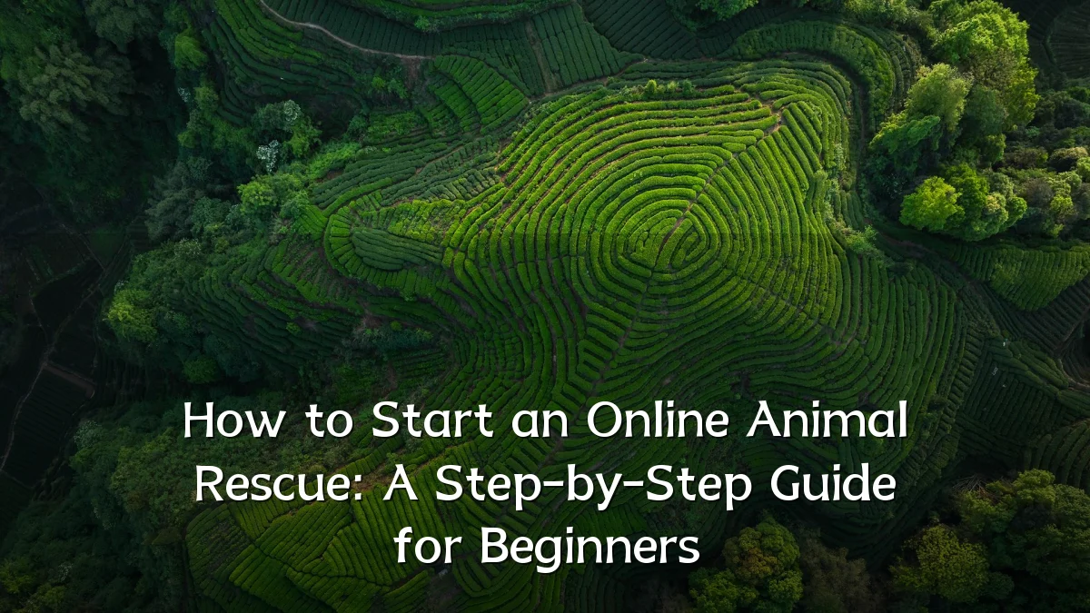 How to Start an Online Animal Rescue: A Step-by-Step Guide for Beginners