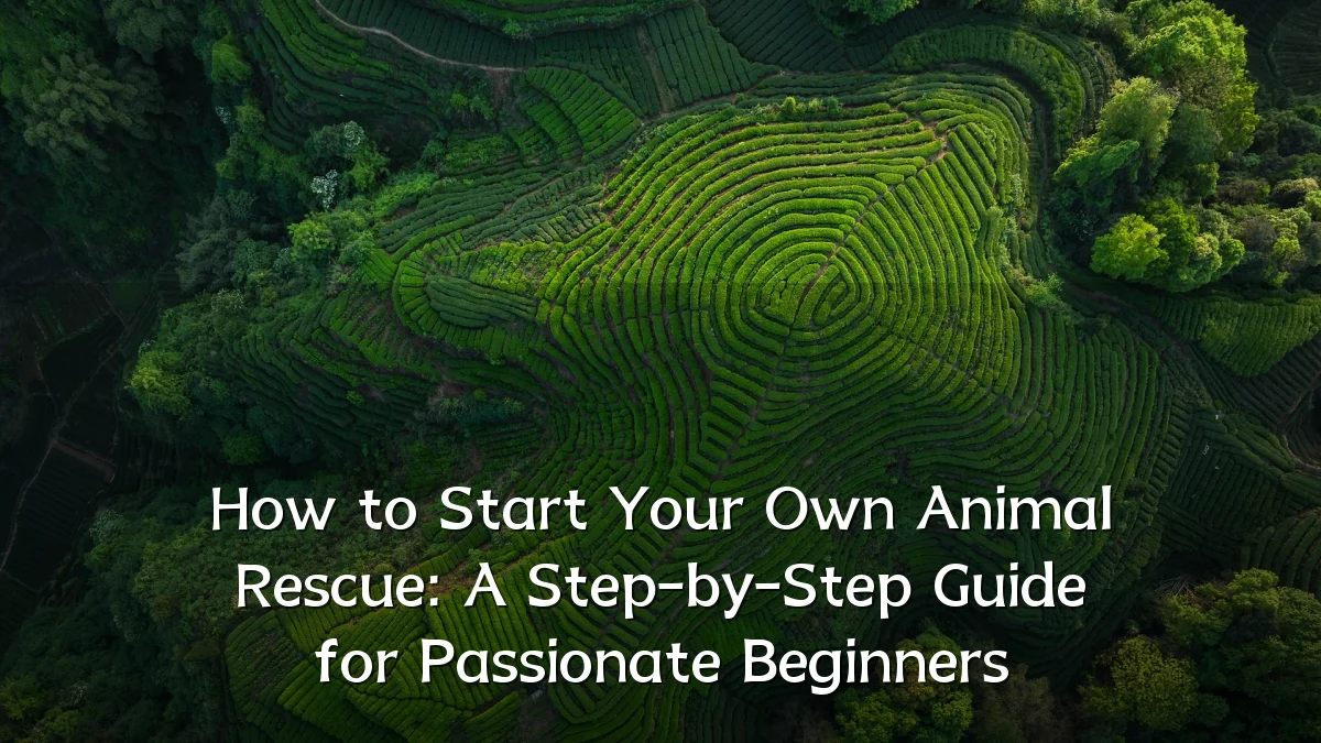 How to Start Your Own Animal Rescue: A Step-by-Step Guide for Passionate Beginners