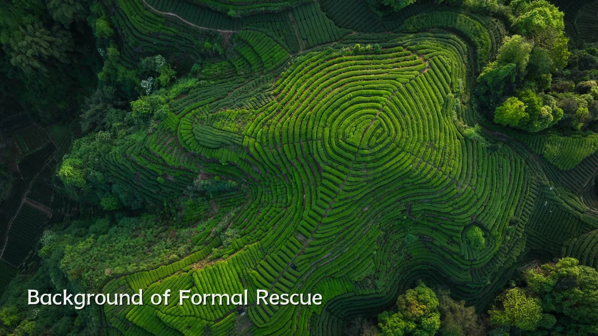 Background of Formal Rescue