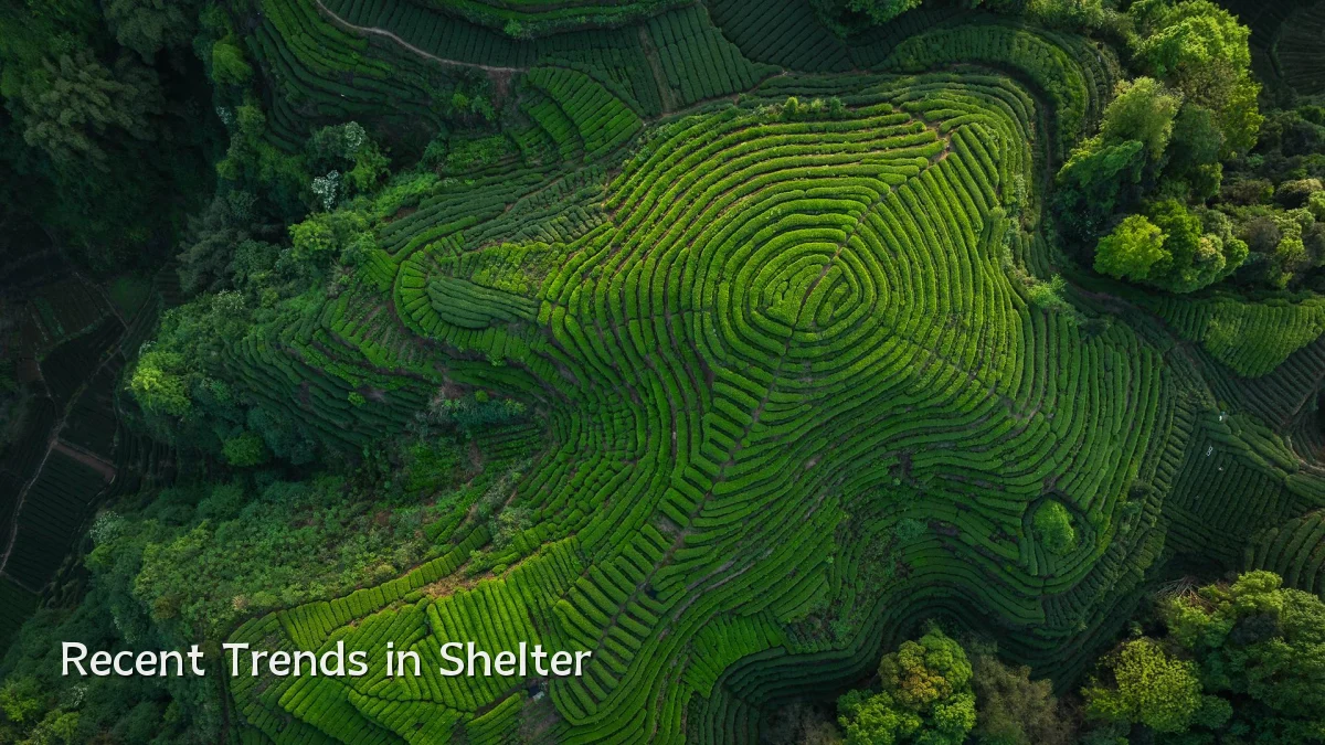 Recent Trends in Shelter