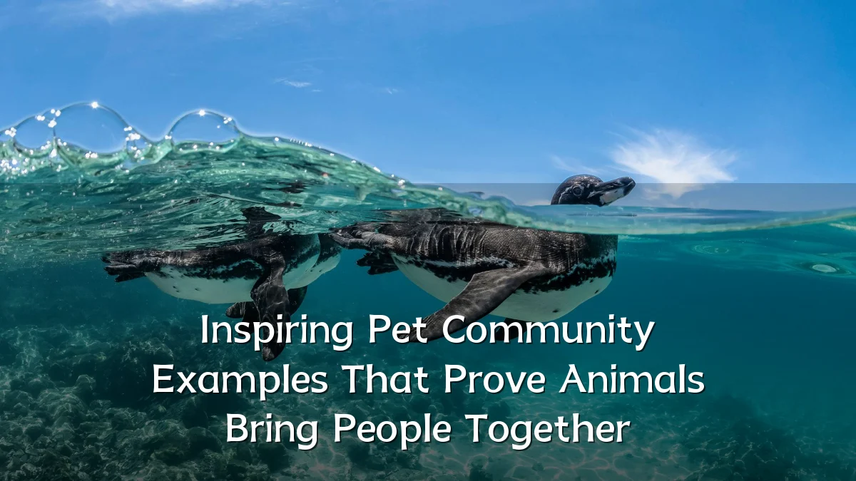 Inspiring Pet Community Examples That Prove Animals Bring People Together