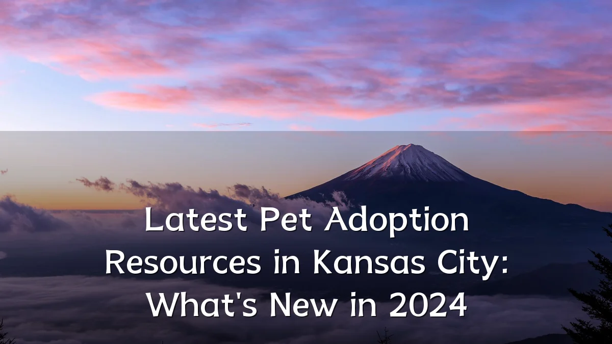 Latest Pet Adoption Resources in Kansas City: What's New in 2024