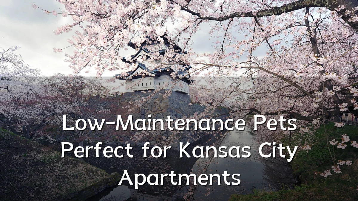 Low-Maintenance Pets Perfect for Kansas City Apartments