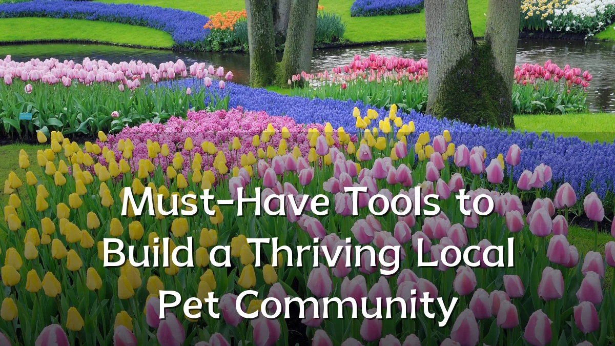 Must-Have Tools to Build a Thriving Local Pet Community