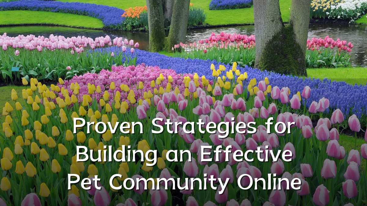 Proven Strategies for Building an Effective Pet Community Online
