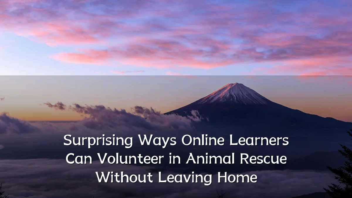 Surprising Ways Online Learners Can Volunteer in Animal Rescue Without Leaving Home