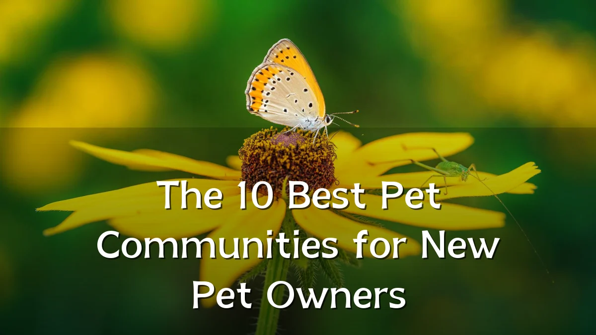 The 10 Best Pet Communities for New Pet Owners
