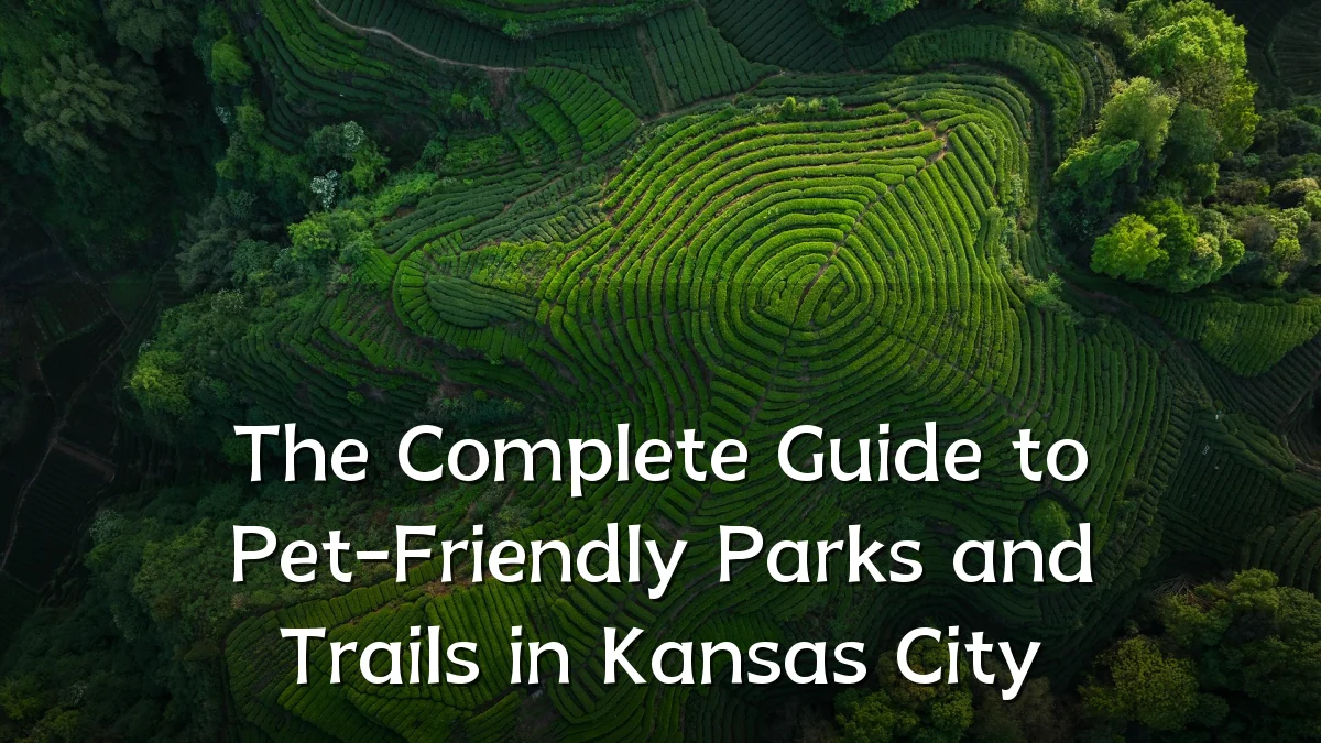 The Complete Guide to Pet-Friendly Parks and Trails in Kansas City