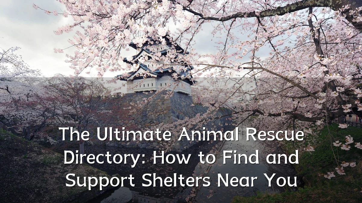 The Ultimate Animal Rescue Directory: How to Find and Support Shelters Near You