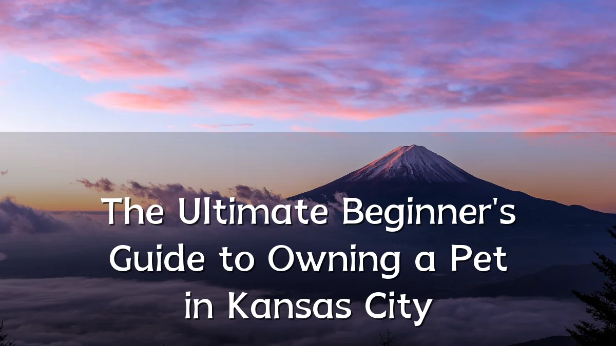 The Ultimate Beginner's Guide to Owning a Pet in Kansas City