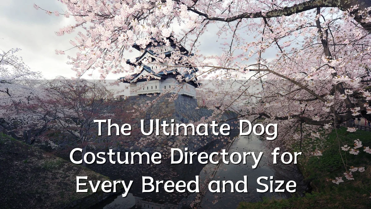 The Ultimate Dog Costume Directory for Every Breed and Size