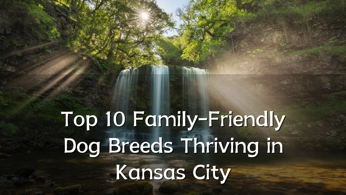 Top 10 Family-Friendly Dog Breeds Thriving in Kansas City