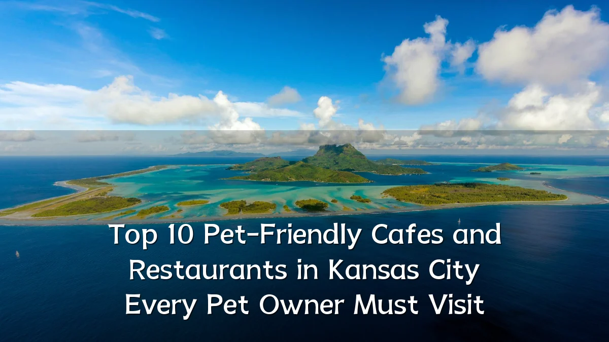 Top 10 Pet-Friendly Cafes and Restaurants in Kansas City Every Pet Owner Must Visit