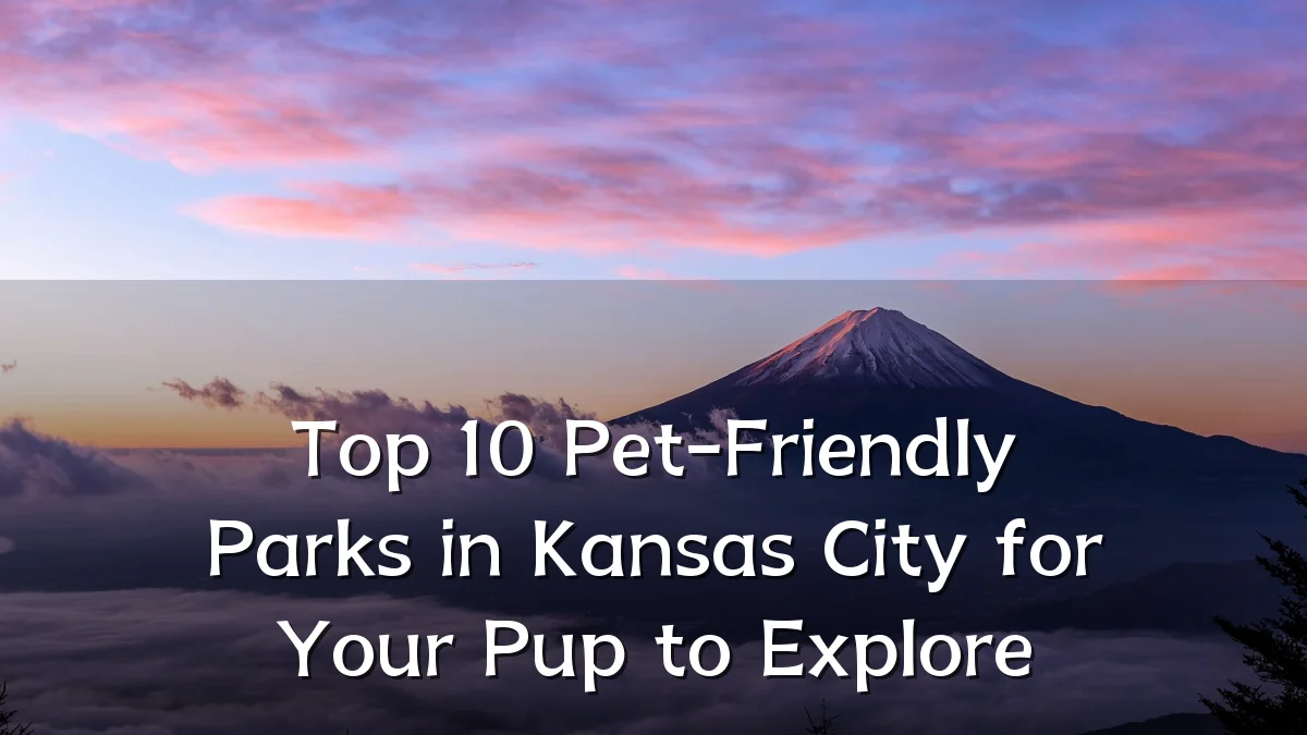 Top 10 Pet-Friendly Parks in Kansas City for Your Pup to Explore