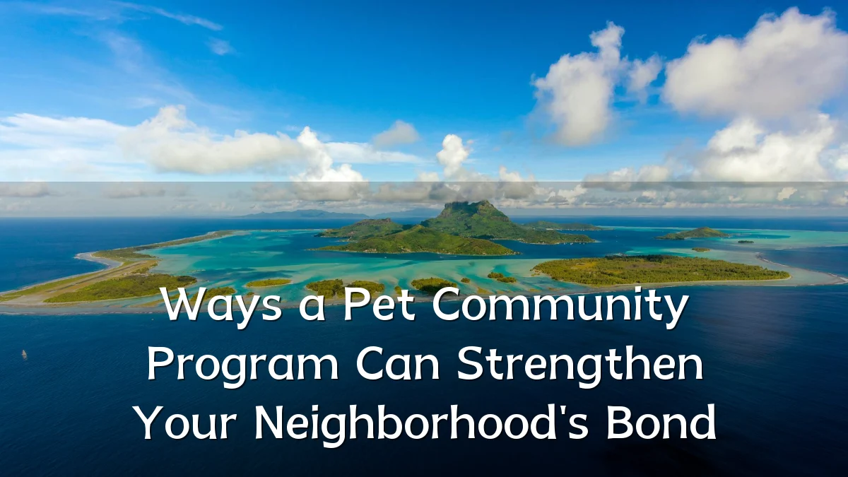 Ways a Pet Community Program Can Strengthen Your Neighborhood's Bond