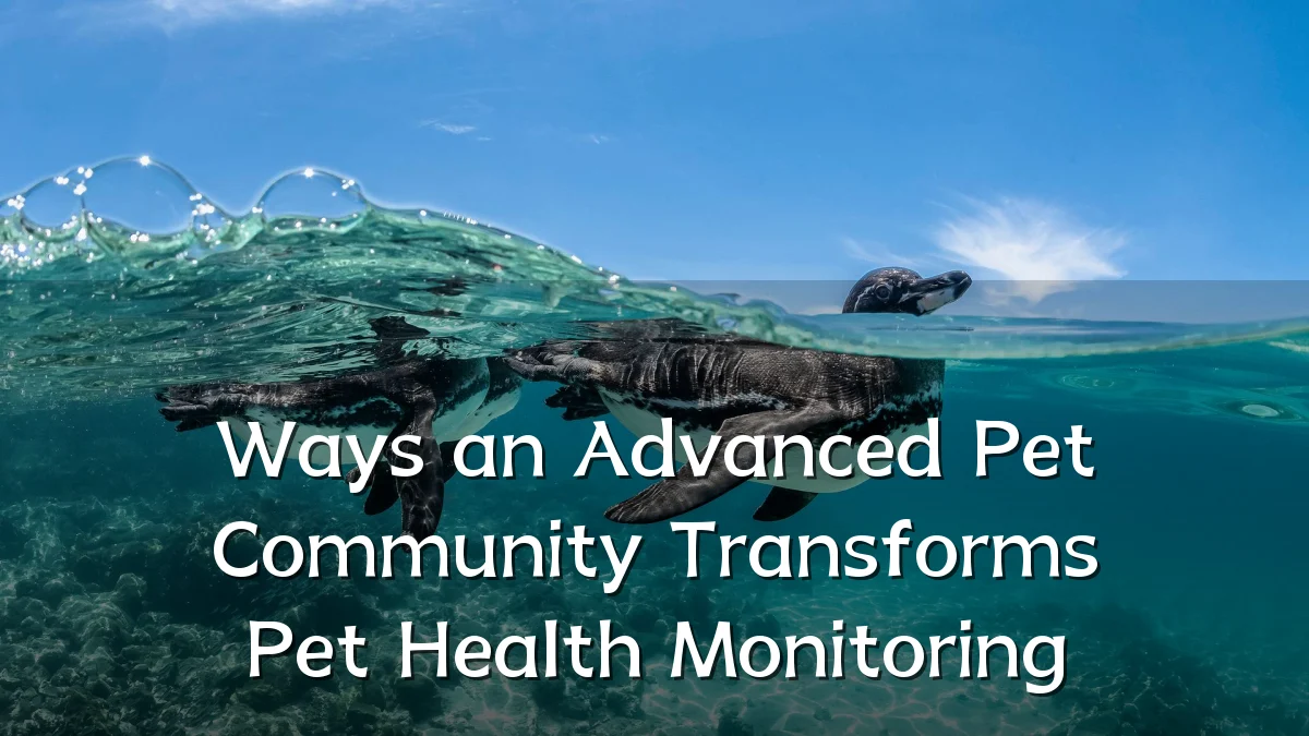 Ways an Advanced Pet Community Transforms Pet Health Monitoring