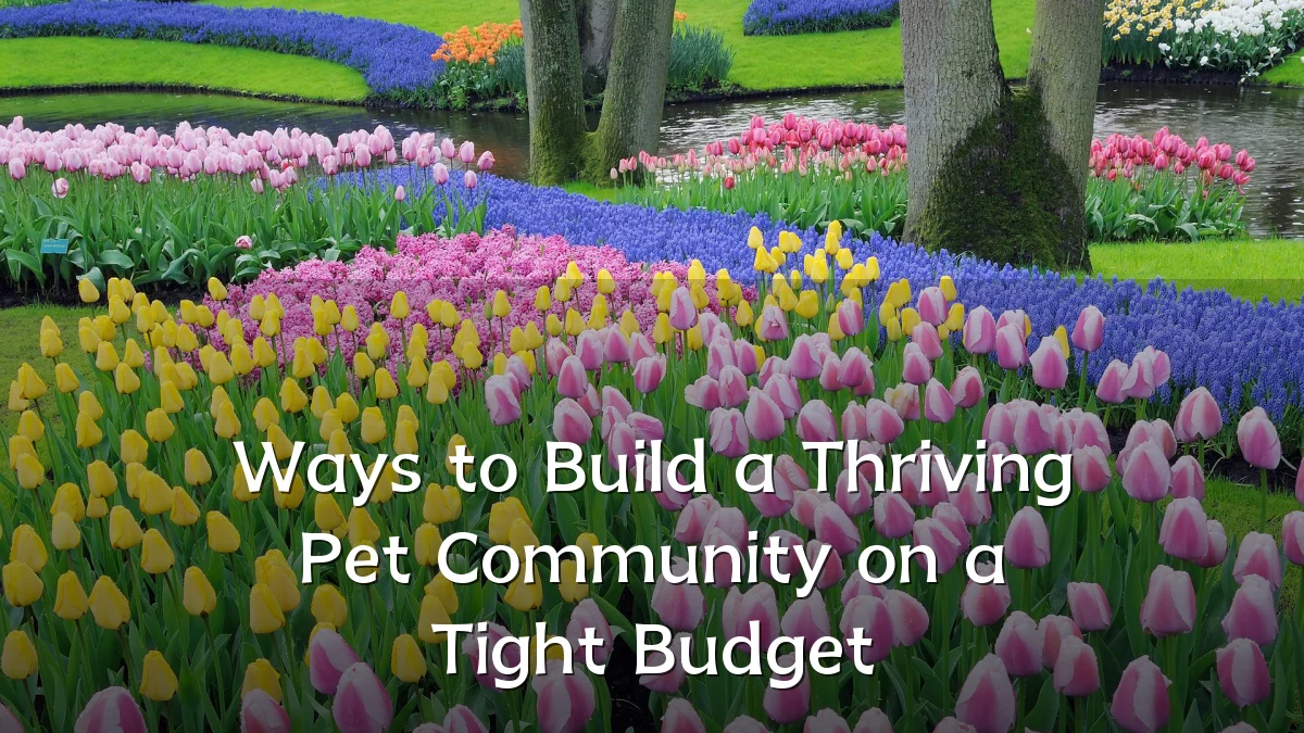 Ways to Build a Thriving Pet Community on a Tight Budget