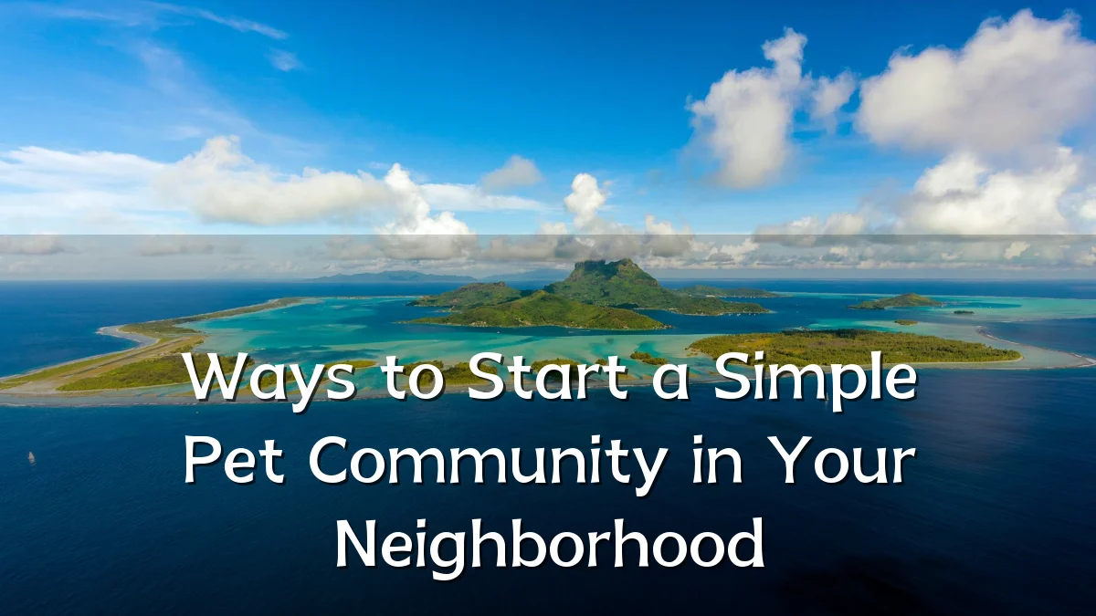 Ways to Start a Simple Pet Community in Your Neighborhood