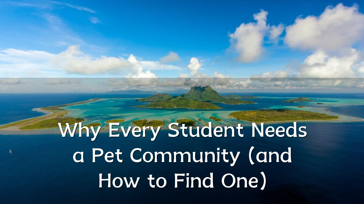 Why Every Student Needs a Pet Community (and How to Find One)