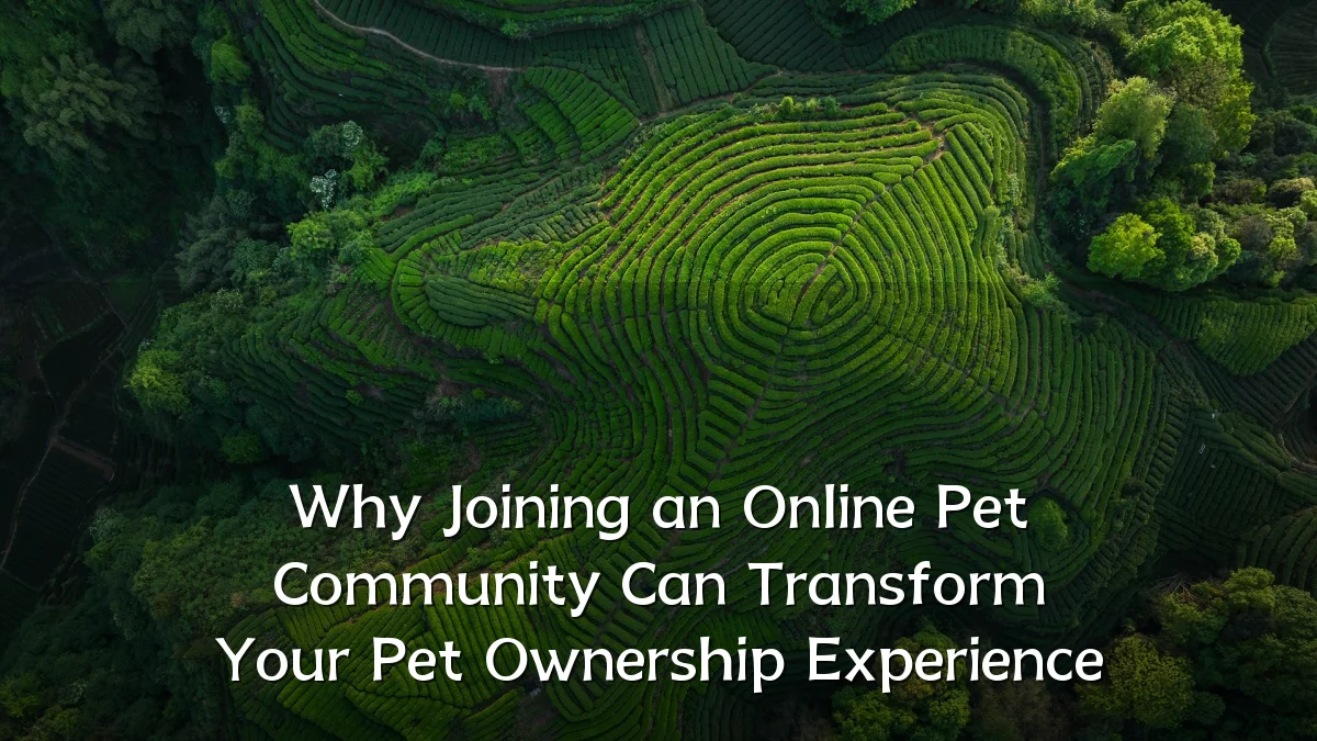 Why Joining an Online Pet Community Can Transform Your Pet Ownership Experience