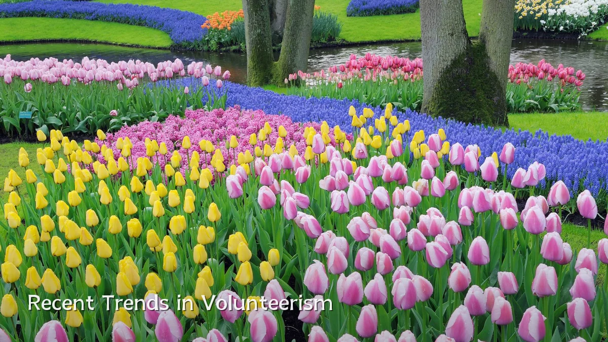Recent Trends in Volunteerism